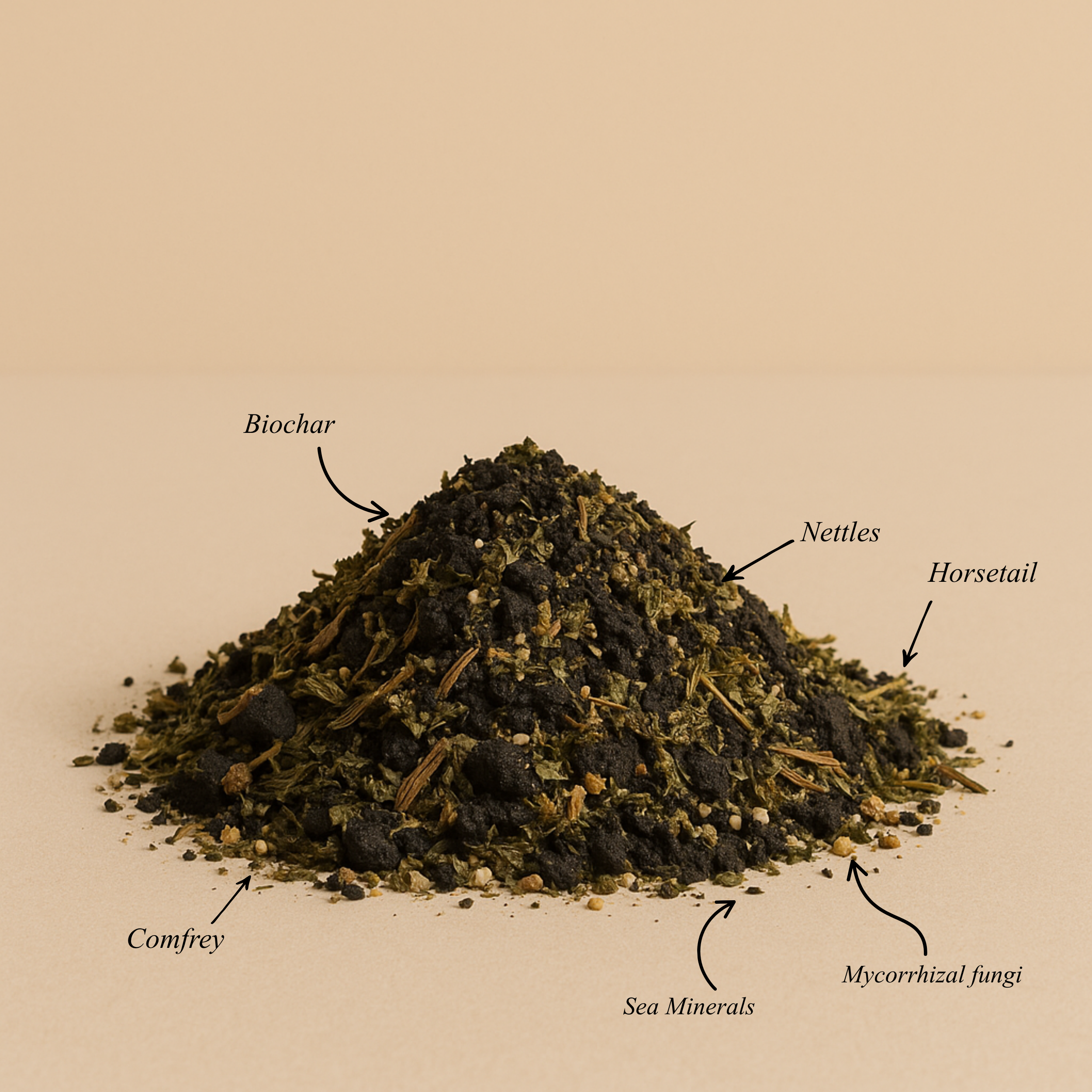 Harmonic Humus — The Foundation of Renewal